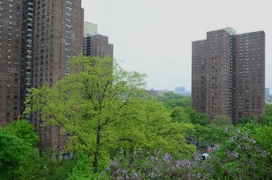 view op New York vanuit de kamer van Emmy en haar vriend